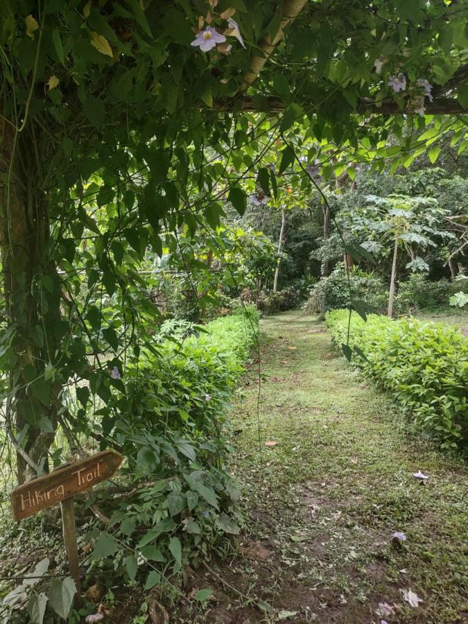 Finca Mystica Mérida Eksteriør bilde