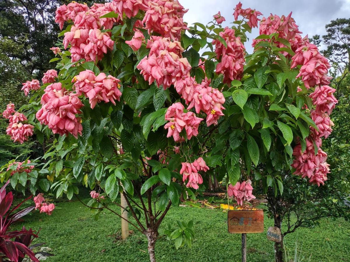 Finca Mystica Mérida Eksteriør bilde