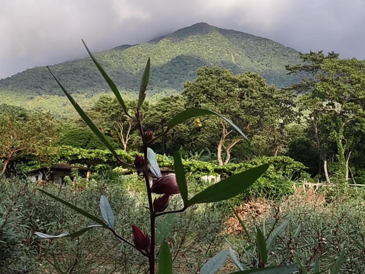 Finca Mystica Mérida Eksteriør bilde