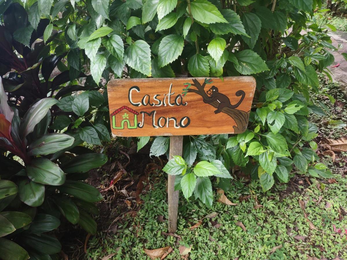 Finca Mystica Mérida Eksteriør bilde