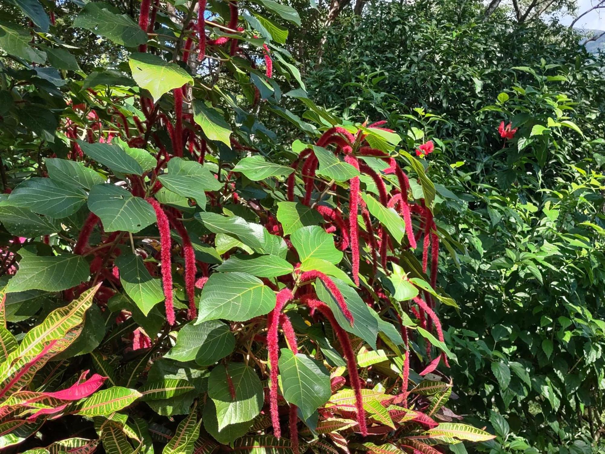 Finca Mystica Mérida Eksteriør bilde
