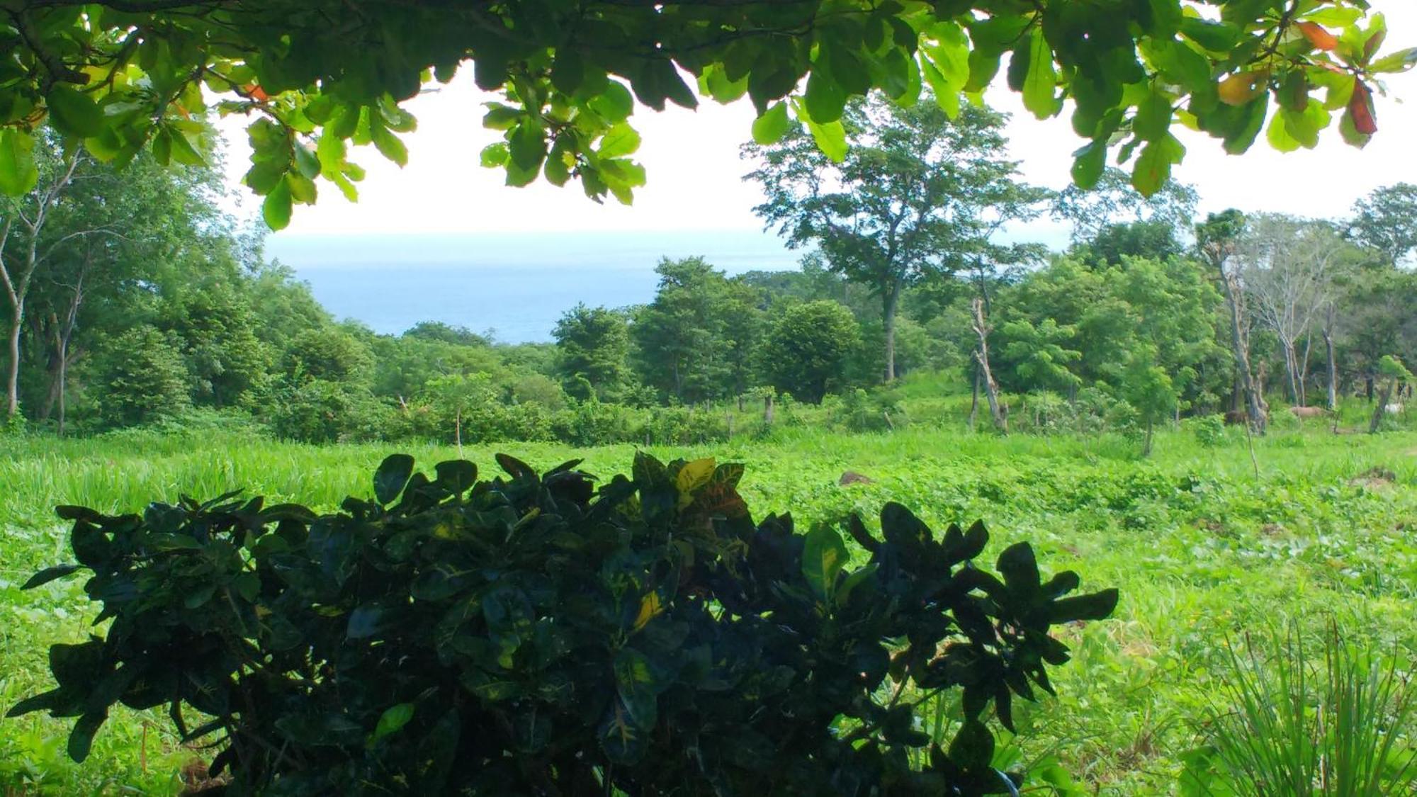 Finca Mystica Mérida Rom bilde