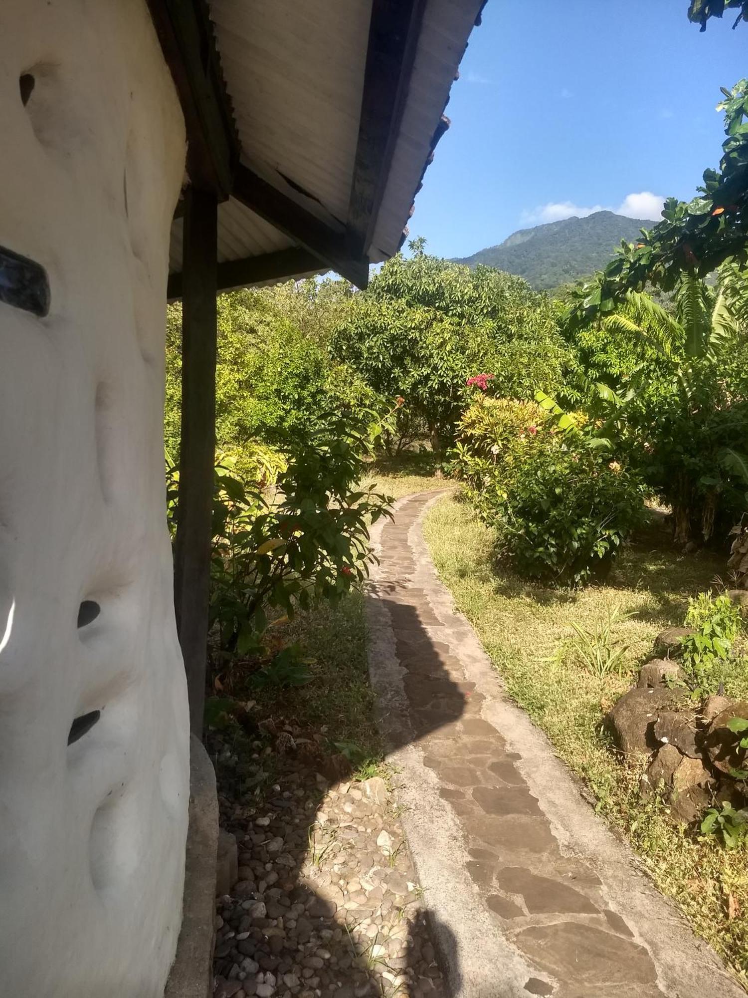 Finca Mystica Mérida Rom bilde