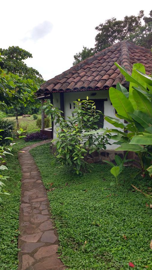 Finca Mystica Mérida Eksteriør bilde