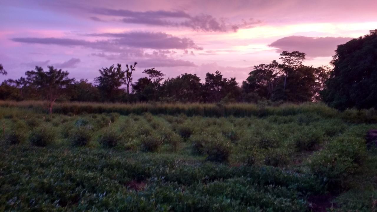 Finca Mystica Mérida Eksteriør bilde